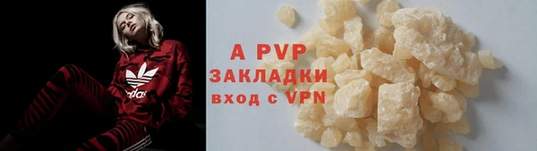 a pvp Богданович